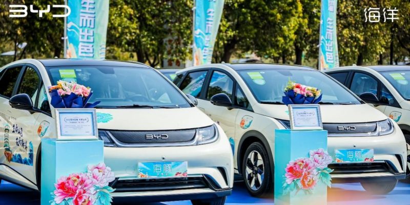 比亚迪海豚助力洛阳牡丹文化节，活动期间“冠军车型”免费坐